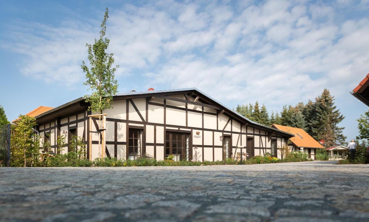Pension Kleiner Koenig Struppen-Siedlung エクステリア 写真