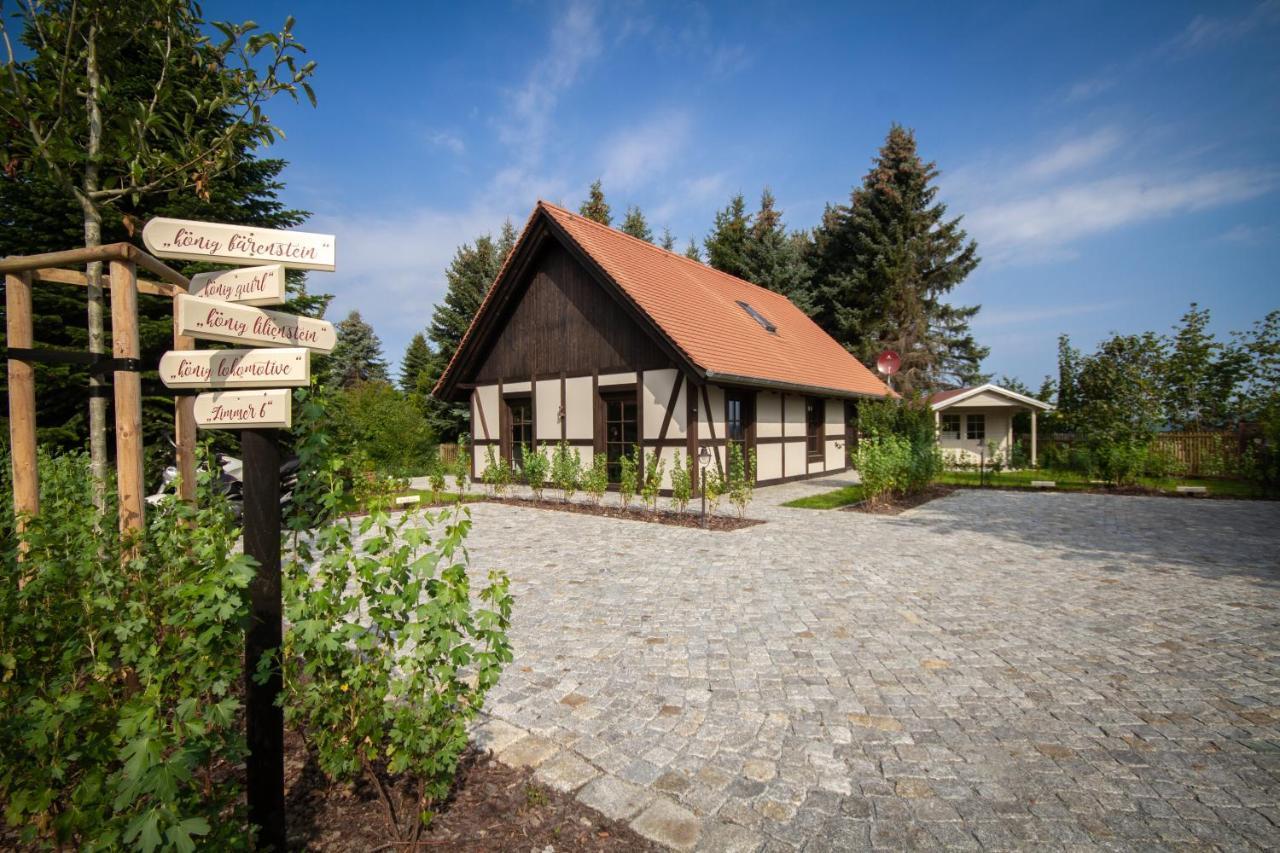 Pension Kleiner Koenig Struppen-Siedlung エクステリア 写真